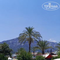 фото из отзыва ID 2706975