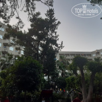 фото из отзыва ID 2707008