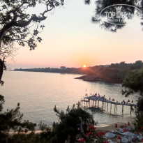 фото из отзыва ID 2707017