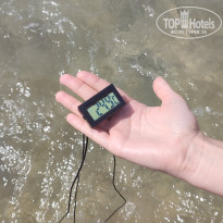 фото из отзыва ID 2707017