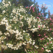 фото из отзыва ID 2707017