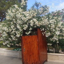 фото из отзыва ID 2707017