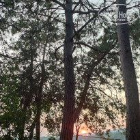 фото из отзыва ID 2707017