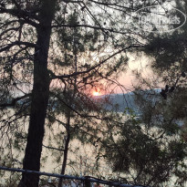 фото из отзыва ID 2707017