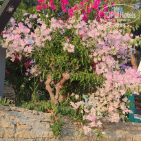 фото из отзыва ID 2707017