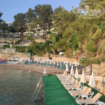 фото из отзыва ID 2707017