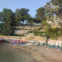 фото из отзыва ID 2707017