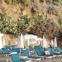 фото из отзыва ID 2707017