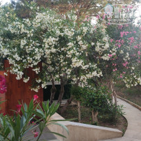 фото из отзыва ID 2707017