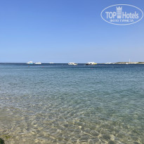 фото из отзыва ID 2707038