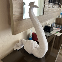 фото из отзыва ID 2707047