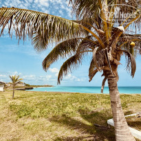 фото из отзыва ID 2707122