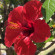 фото из отзыва ID 2707120
