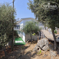 фото из отзыва ID 2707137