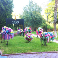 фото из отзыва ID 2707156