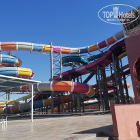 фото из отзыва ID 2707190