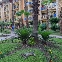 фото из отзыва ID 2707228