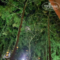 фото из отзыва ID 2707228