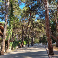 фото из отзыва ID 2707228