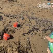 фото из отзыва ID 2707295