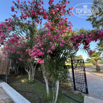 фото из отзыва ID 2707343