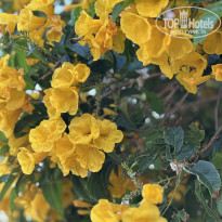 фото из отзыва ID 2707384