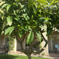 фото из отзыва ID 2707384