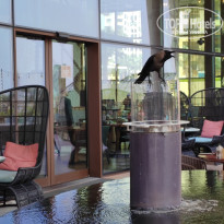 фото из отзыва ID 2707404