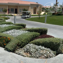 фото из отзыва ID 2707182