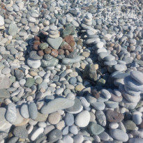 фото из отзыва ID 2707443