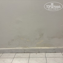 фото из отзыва ID 2707456