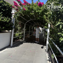 фото из отзыва ID 2707466