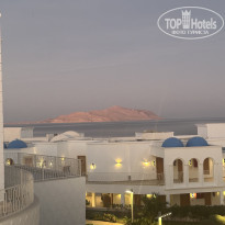 фото из отзыва ID 2707540