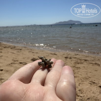 фото из отзыва ID 2707540