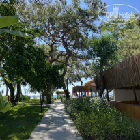 фото из отзыва ID 2707565