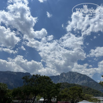 фото из отзыва ID 2707565