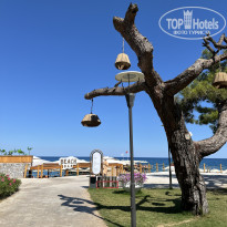 фото из отзыва ID 2707565