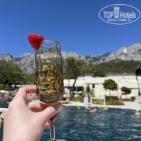 фото из отзыва ID 2707565