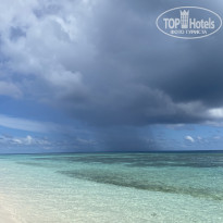 фото из отзыва ID 2707679