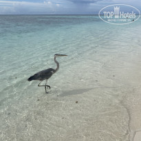 фото из отзыва ID 2707679