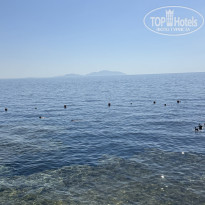 фото из отзыва ID 2707732