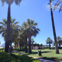 фото из отзыва ID 2707708