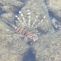 фото из отзыва ID 2707774