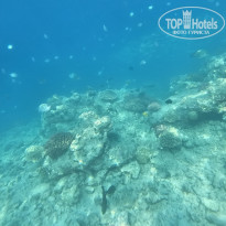 фото из отзыва ID 2707774