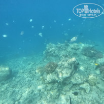 фото из отзыва ID 2707774