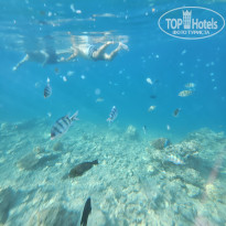 фото из отзыва ID 2707774