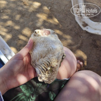 фото из отзыва ID 2707774