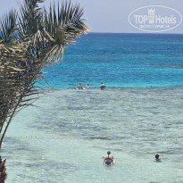 фото из отзыва ID 2707774