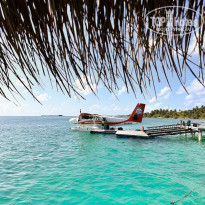 фото из отзыва ID 2707778