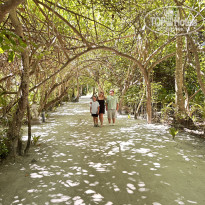 фото из отзыва ID 2707778